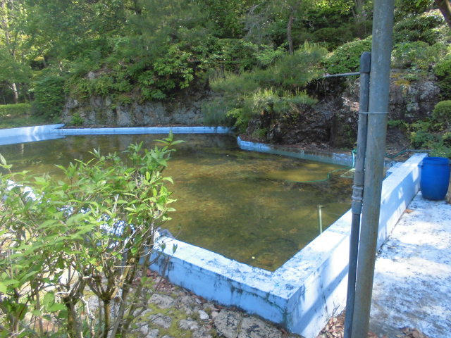 日ヶ奥渓谷キャンプ場のプール